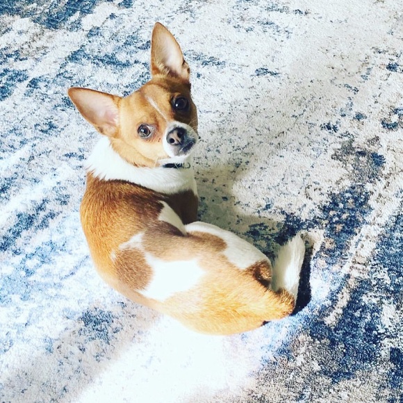 LIVE SHOW NOTIFICATION 📢 - Picture 9 of 13